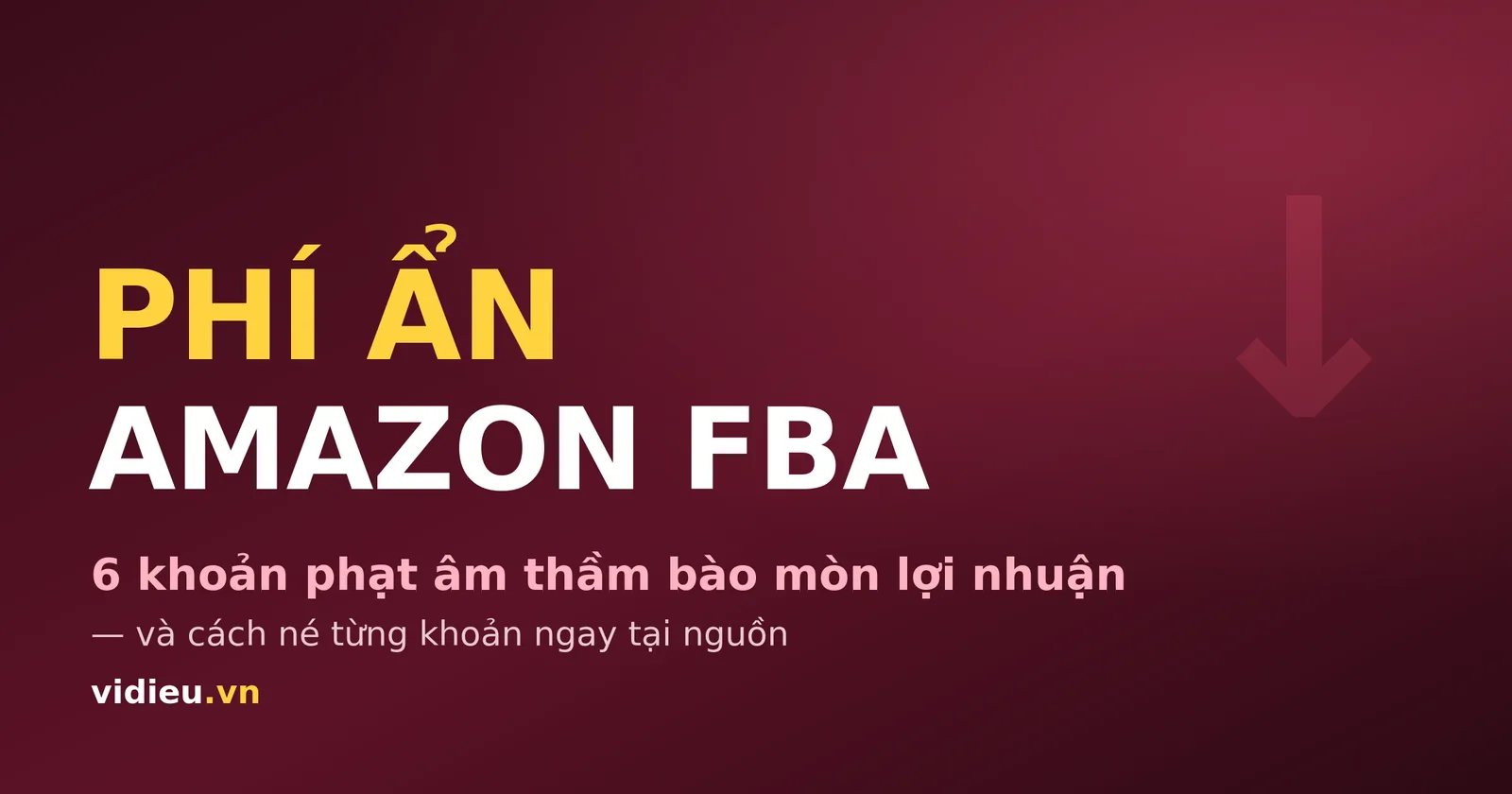 Phí ẩn Amazon FBA: 6 khoản phạt bào mòn lợi nhuận