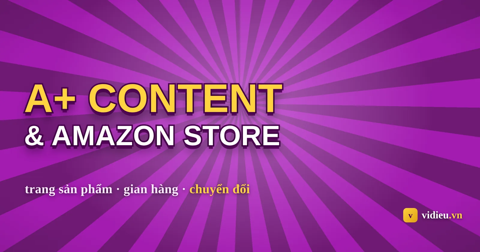 A+ Content, Brand Story & Amazon Store: biến thương hiệu thành chuyển đổi