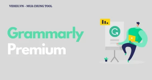 Grammarly premium 2